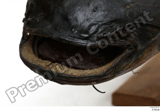 Catfish  1 mouth 0003.jpg